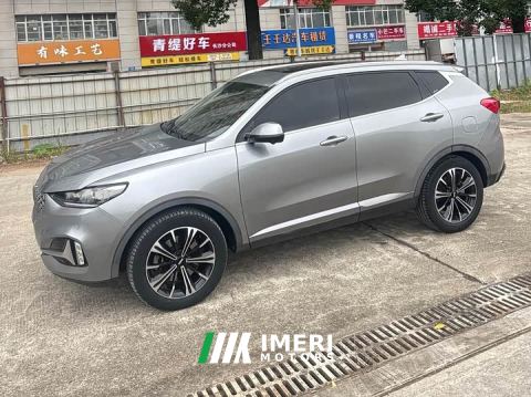 2021 WEY VV6 2.0T Two-Wheel Drive Smart Protection