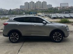 Great Wall WEY VV6 2.0T Two-Wheel Drive Smart Protection - ფოტო 2