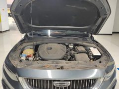 Geely Xingrui 2.0T Diesel Luxury - ფოტო 10