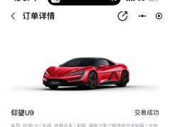 Yangwang U9 Standard Edition - ფოტო 19