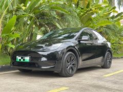 Tesla Model Y Rear-Wheel Drive - ფოტო 1