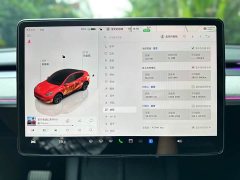 Tesla Model Y Rear-Wheel Drive - ფოტო 19