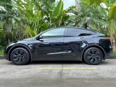 Tesla Model Y Rear-Wheel Drive - ფოტო 3