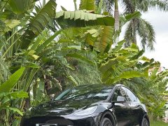 Tesla Model Y Rear-Wheel Drive - ფოტო 6