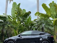 Tesla Model Y Rear-Wheel Drive - ფოტო 7
