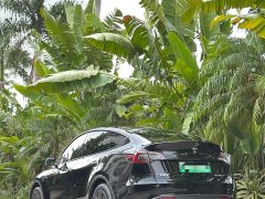 Tesla Model Y Rear-Wheel Drive - ფოტო 8