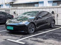 Tesla Model 3 Rear-Wheel Drive - ფოტო 1