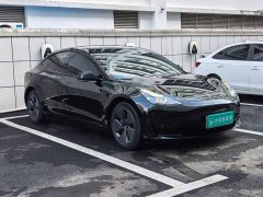 Tesla Model 3 Rear-Wheel Drive - ფოტო 11