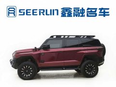 Dongfeng Mengshi 917 Extended Range Base - ფოტო 7