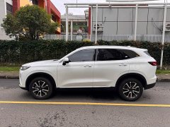 Haval H6 Third Generation 1.5T Automatic Two-Wheel Drive Pro - ფოტო 5