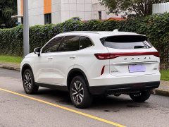 Haval H6 Third Generation 1.5T Automatic Two-Wheel Drive Pro - ფოტო 6