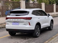 Haval H6 Third Generation 1.5T Automatic Two-Wheel Drive Pro - ფოტო 8