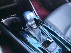 Toyota Yize IZOA 2.0L Yixiang Edition - ფოტო 16