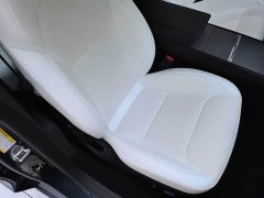 Tesla Model 3 Rear-Wheel Drive - ფოტო 10
