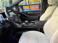 GAC Aion M8 Master Series 400T Flagship - ფოტო 9