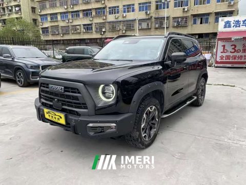 2022 Great Wall Dachshund 2.0T DCT Four-Wheel Drive Howling Celestial Dog Hunting Edition - ავტომობილი ჩინეთიდან