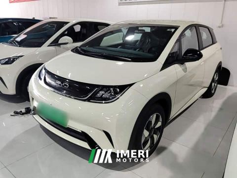 2026 BYD Dolphin 420km Freedom Edition