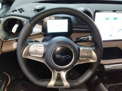 BYD Dolphin 420km Freedom Edition - ფოტო 10