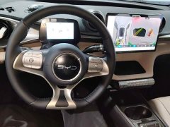BYD Dolphin 420km Freedom Edition - ფოტო 9