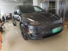 Tesla Model Y Rear-Wheel Drive - ფოტო 3