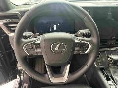 Lexus GX OVERTRAIL Yuanfeng PRO - ფოტო 9