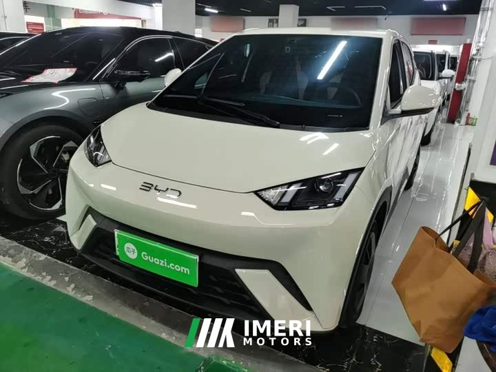 BYD Seagull 305km Vitality Edition