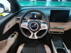 BYD Seagull 305km Vitality Edition - ფოტო 10