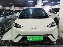 BYD Seagull 305km Vitality Edition - ფოტო 2