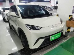 BYD Seagull 305km Vitality Edition - ფოტო 3
