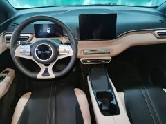 BYD Seagull 305km Vitality Edition - ფოტო 9