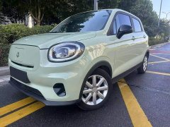 Leapmotor Leapo T03 Radiant Gold Edition - photo 1