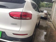 Haval H6 1.5GDIT Automatic Luxury Edition - ფოტო 7