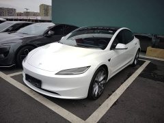 Tesla Model 3 Rear-Wheel Drive - ფოტო 1