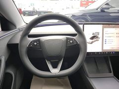 Tesla Model 3 Rear-Wheel Drive - ფოტო 10