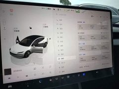 Tesla Model 3 Rear-Wheel Drive - ფოტო 11