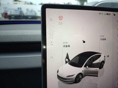 Tesla Model 3 Rear-Wheel Drive - ფოტო 13