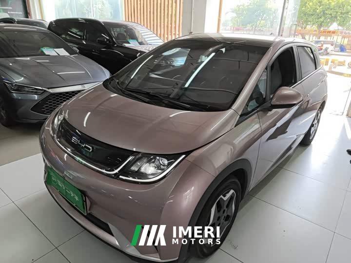 BYD Dolphin 405km Fashion Edition - car from China