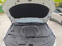BYD Qin PLUS Honor Edition EV 510KM Elite Edition - ფოტო 19