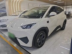 BYD Seagull Smart Driving Edition 305km Freedom Edition - фото 1