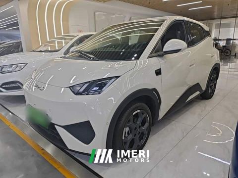 2025 BYD Seagull Smart Driving Edition 305km Freedom Edition