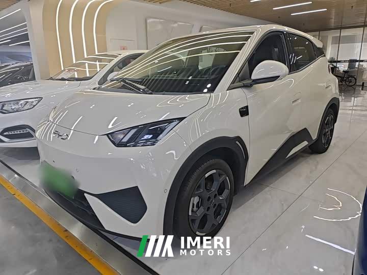 BYD Seagull Smart Driving Edition 305km Freedom Edition