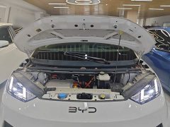 BYD Seagull Smart Driving Edition 305km Freedom Edition - фото 19