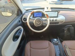 Wuling Binguo 203km Light Enjoy Edition - ფოტო 10