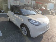 Wuling Binguo 203km Light Enjoy Edition - ფოტო 3