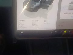 Tesla Model 3 Rear-Wheel Drive - ფოტო 11
