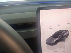 Tesla Model 3 Rear-Wheel Drive - ფოტო 13
