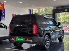 Beijing Jeep BJ30 1.5T Light Wilderness Pro Edition - ფოტო 6