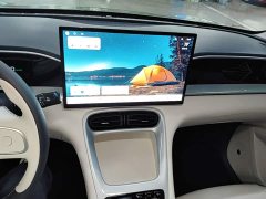 Geely Star Wish 310km Dream Edition - photo 12