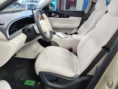 Geely Star Wish 310km Dream Edition - photo 14