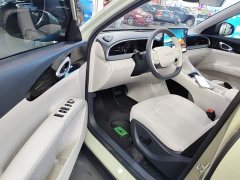 Geely Star Wish 310km Dream Edition - photo 15